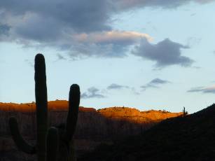 waravaipa-2013-day1-2  Saguaro sunrise.jpg (116348 bytes)